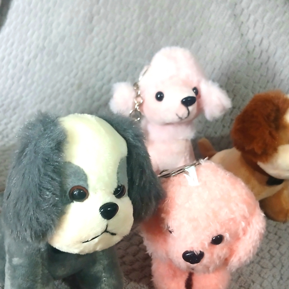 Mini puppy key chans